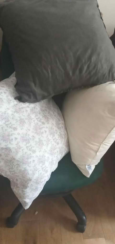 Photo of free Cushion inserts (Whitehill GU35) #2