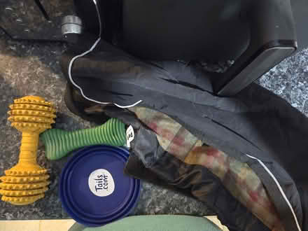 Photo of free Medium dog items (Leytonstone E11) #1