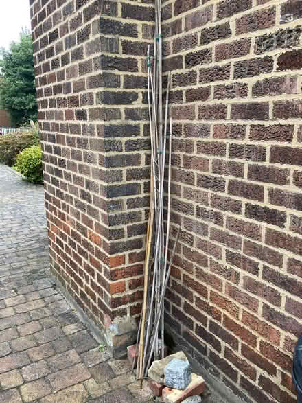 Photo of free Selection of bamboo garden canes (Harrogate HG2) #1