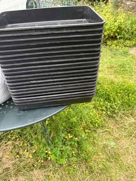 Photo of free Seed trays (Lyncombe) #1