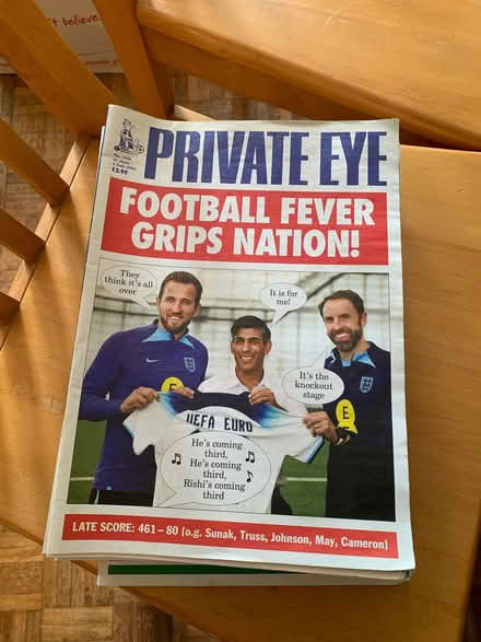Photo of free Pile of Private Eyes 2018-2024 (Fleetville AL1) #1