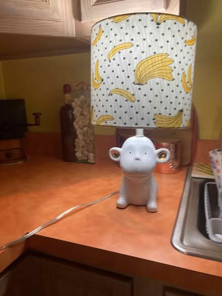 Photo of free Monkey Lamp (Scaggsville) #1