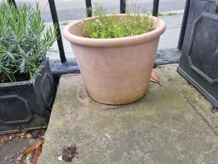 Photo of free Garden Pots (World's End SW10) #3