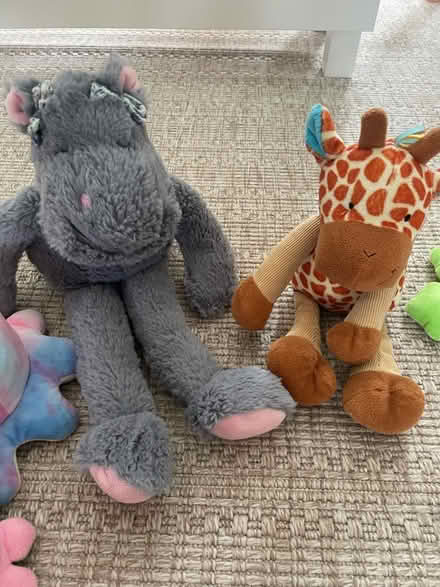 Photo of free Selection of soft toys. (North Ascot SL5) #3