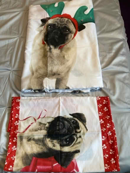 Photo of free Double duvet cover (Swindon SN5) #1