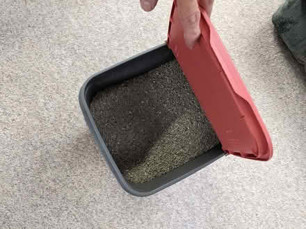 Photo of free Tidy Cats Clumping Litter (Inglewood area, Edmonton) #2