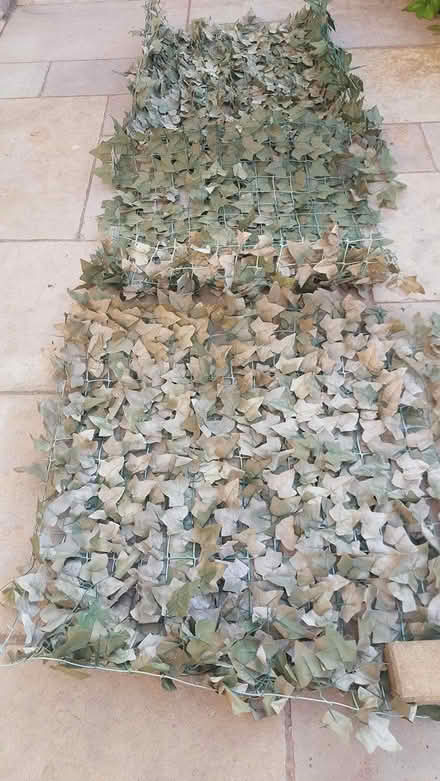 Photo of free artificial hedge (Finglas) #4