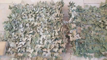 Photo of free artificial hedge (Finglas) #2