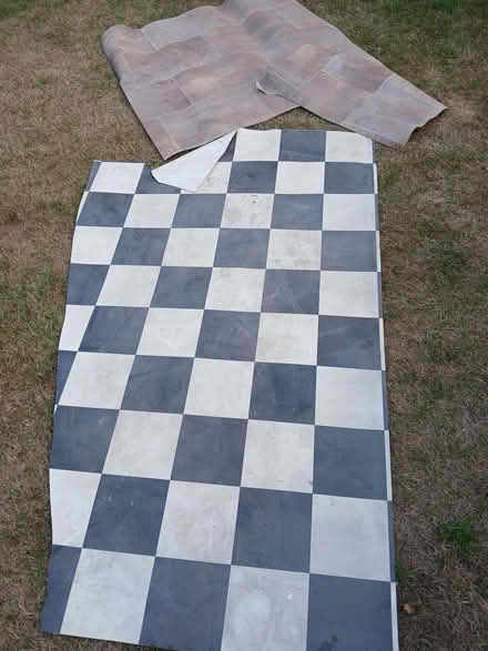 Photo of free Vinyl offcuts (Rydon Park EX2) #2