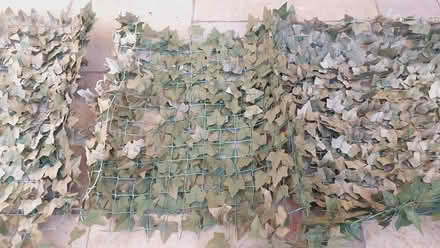 Photo of free artificial hedge (Finglas) #3