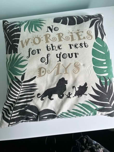 Photo of free Cushions (AB11) #1