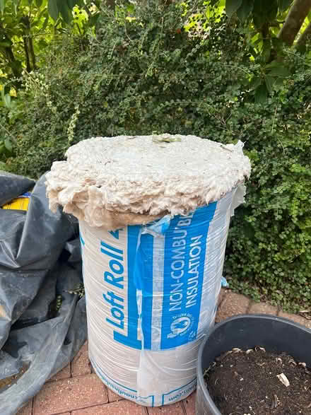 Photo of free Insulation (Heatherside) #1