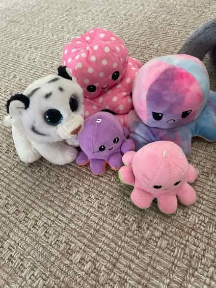 Photo of free Selection of soft toys. (North Ascot SL5) #2