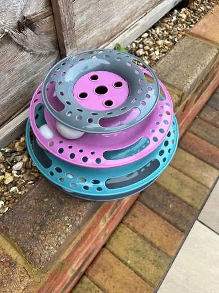 Photo of free Cat toy (Burnham SL1) #2