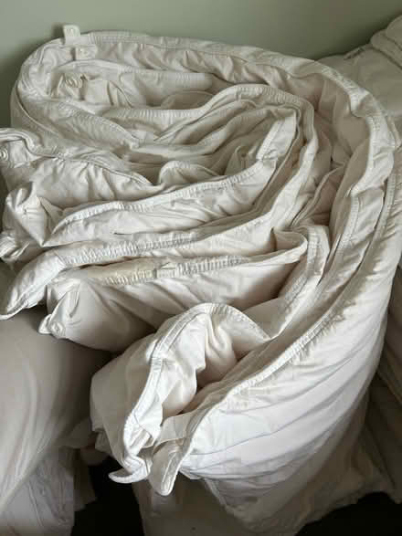 Photo of free Pair of feather Single Duvets (New Malden KT3) #2