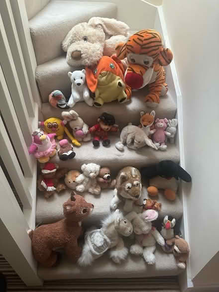 Photo of free Soft toys (Jesmond) #1