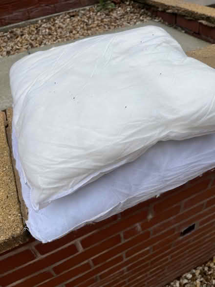 Photo of free 2 flat cushion inners (CH43) #1