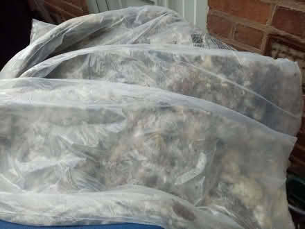 Photo of free Sheep wool sealed bags (Yardley B9) #1