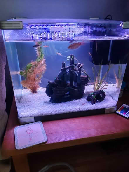 Photo of free Fish tank (RG2) #1