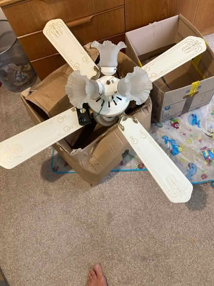Photo of free Ceiling light with fan (South Didcot OX11) #1