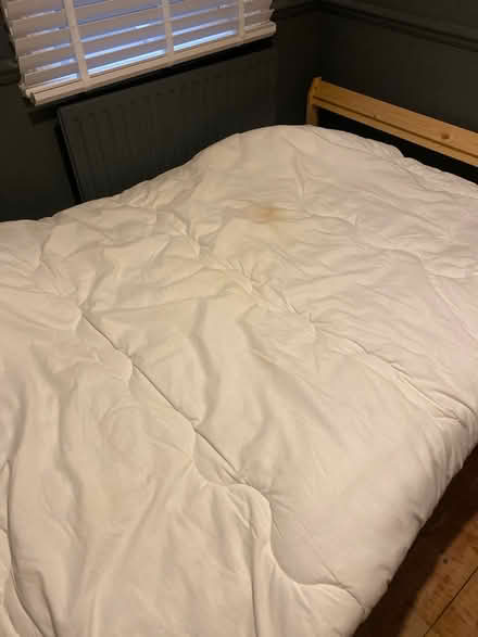 Photo of free double duvet (East Dulwich SE22) #1
