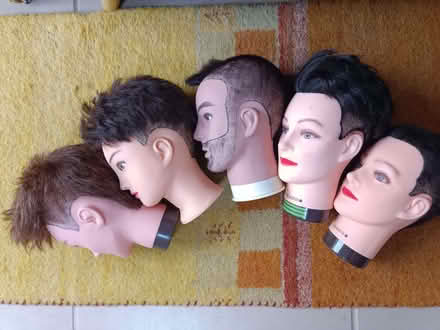 Photo of free 5 hairdressers heads, make up practice? (Waterford SG14) #1