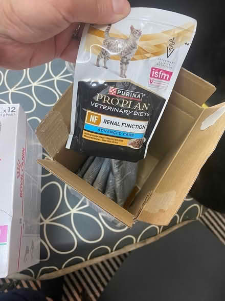 Photo of free Cat food (renal) (Upper Norwood SE19) #2