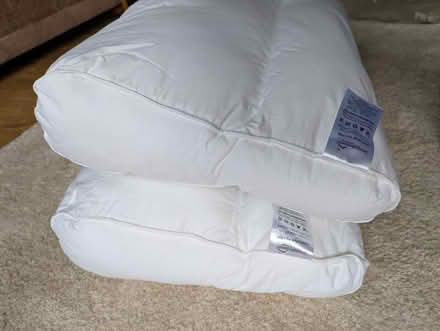Photo of free Contour pillows (2) (Hook RG27) #2