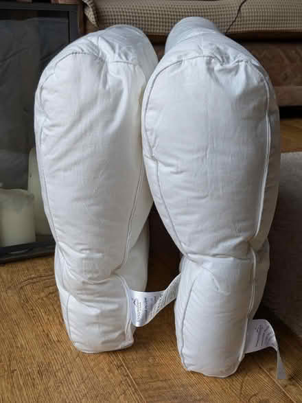 Photo of free Contour pillows (2) (Hook RG27) #1