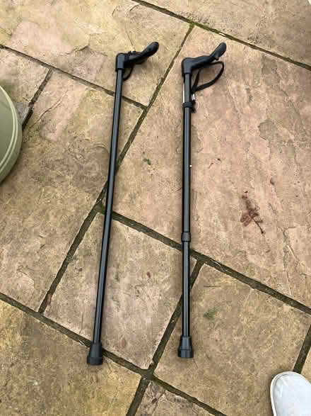 Photo of free Walking sticks (Newton Mearns G77) #1