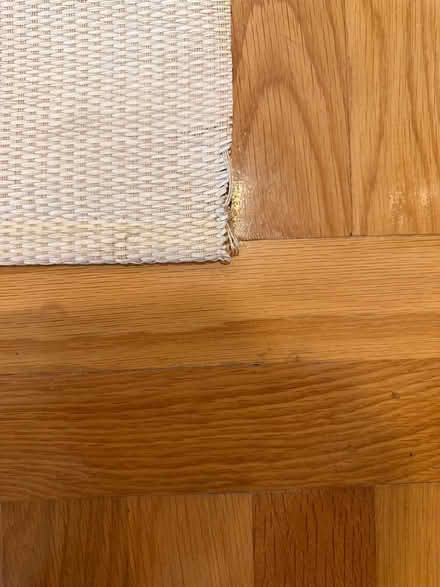 Photo of free Sliding glass door shade (Burlington) #3