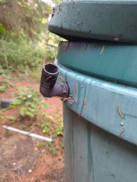 Photo of free Large water butt (Hitchin, SG5) #2