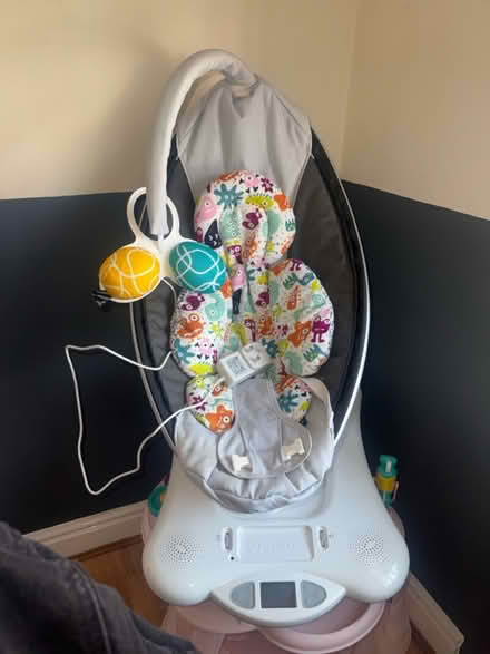 Photo of free Mamroo (Walton) #1