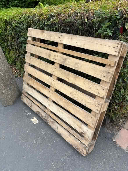 Photo of free Wooden Pallett (1) (SS6) #1