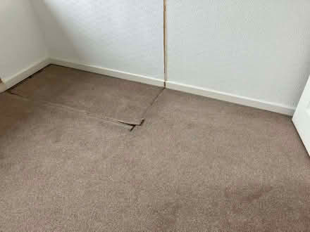 Photo of free Bedroom Carpet (Cookridge LS16) #1
