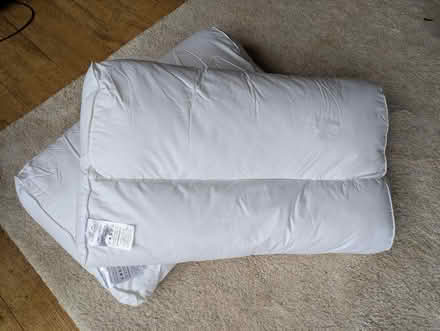 Photo of free Contour pillows (2) (Hook RG27) #3