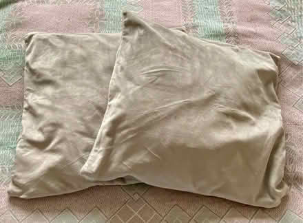 Photo of free Small Grey Velvet Cushions (Kentwood RG30) #1