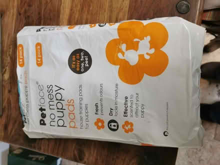 Photo of free Puppy training pads (Leominster HR6) #1