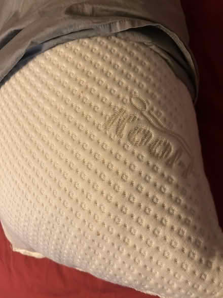 Photo of free Bamboo Body Pillow (Wedgwood) #1