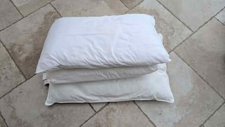 Photo of free Pillows (Aldwick PO21) #1