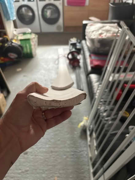 Photo of free Plaster cornicing & adhesive (Central St Leonards TN38) #3