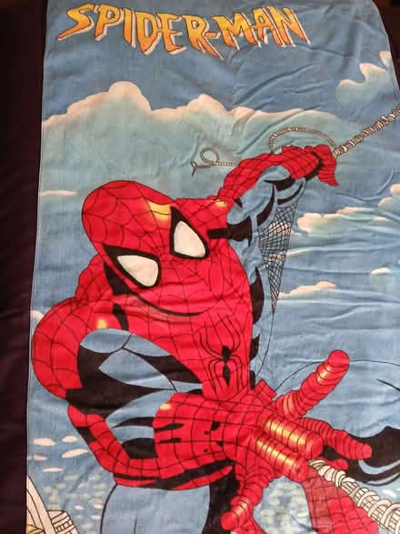 Photo of free Spiderman beach towel, inflatable lilo and ring (Rydon Park EX2) #1