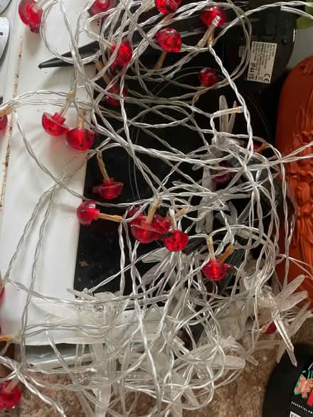 Photo of free Out door planter and lights (Chilwell NG9) #2