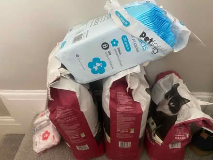 Photo of free Cat litter + (AL3 St Albans) #1