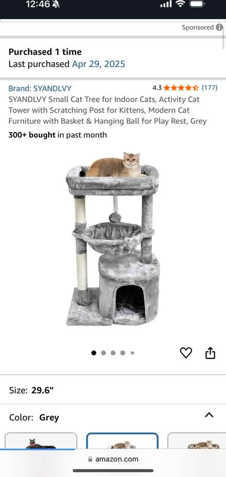 Photo of free Cat tree/169th street (Washington Heights 169th) #1