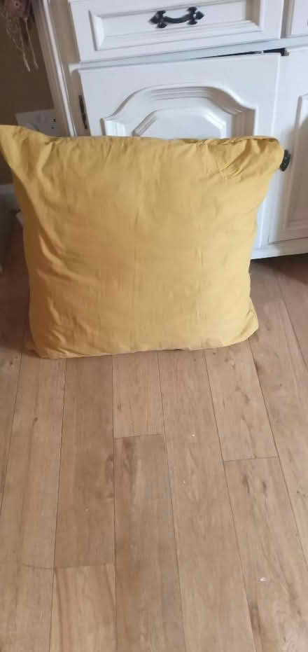 Photo of free Cat / dog cushion (Whitehill GU35) #1