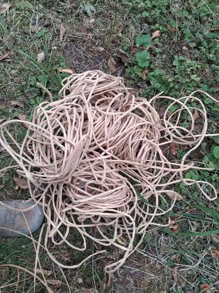 Photo of free cane and rush for reseating chairs-various widths. (Yarpole HR6) #2