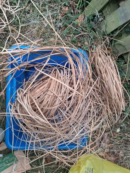 Photo of free cane and rush for reseating chairs-various widths. (Yarpole HR6) #1