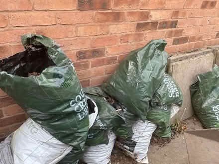 Photo of free Garden cuttings (DE6) #2