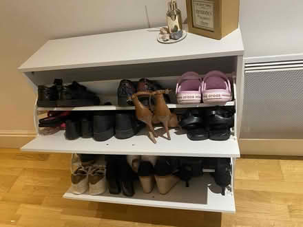 Photo of free shoe cabinet(no shoes included) (W4) #2